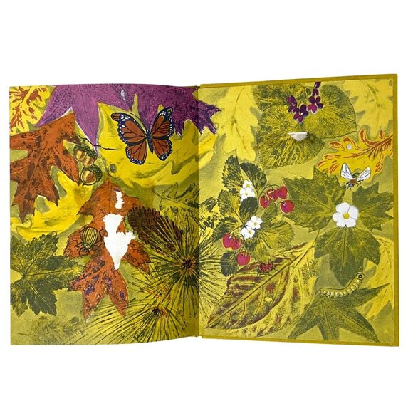 Cubby's World Story of a Baby Bear Hardcover Robbie Trent Wild Animals Vtg 60s - Picture 10 of 10